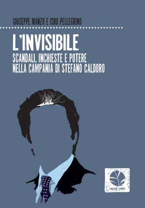 Cover of the book L'invisibile by Susanna Marietti, Valerio Chiola