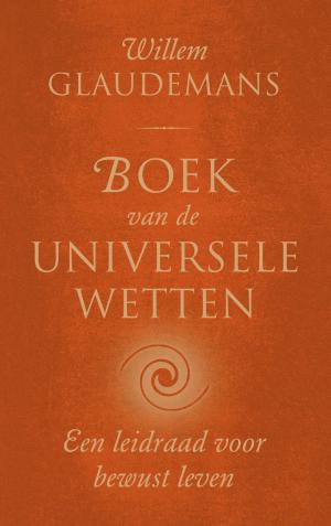 Book cover of Boek van de universele wetten