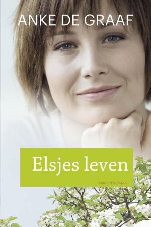 Cover of the book Elsjes leven by Kristen Heitzmann