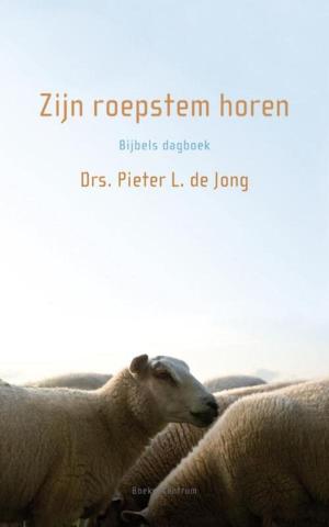 Cover of the book Zijn roepstem horen by Joke Verweerd