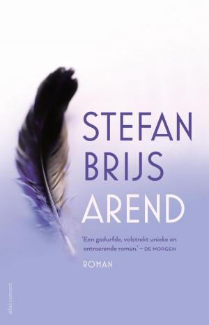Cover of the book Arend by Gijs van der Ham, Judith Pollmann, Peter Vandermeersch