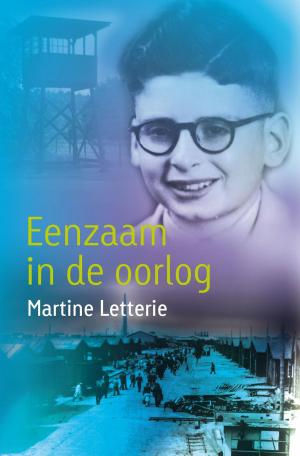 Cover of the book Eenzaam in de oorlog by Paul van Loon