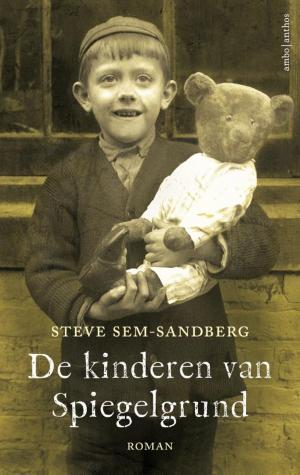 Book cover of De kinderen van Spiegelgrund