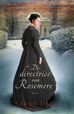 Cover of the book De directrice van Rosemere by Julia Burgers-Drost