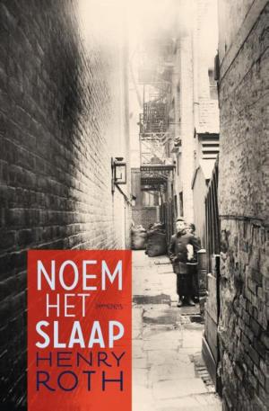 Cover of the book Noem het slaap by Arnon Grunberg