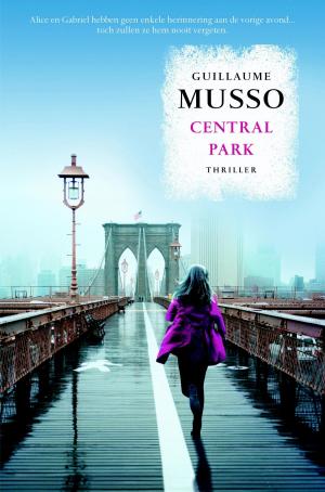 Cover of the book Central Park by Gérard de Villiers