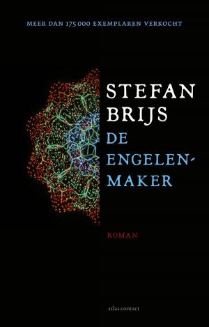 Cover of the book De engelenmaker by Andreas Burnier