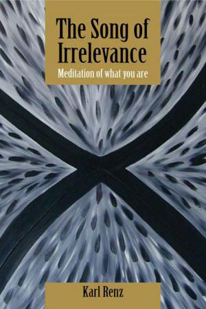 Book cover of The Song of Irrelevance