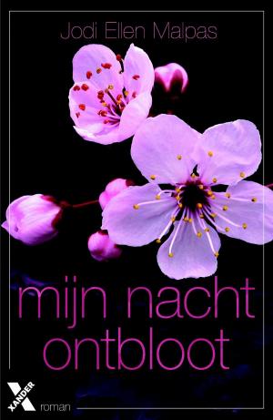 Cover of the book Mijn nacht ontbloot by Giacomo Pellizzari