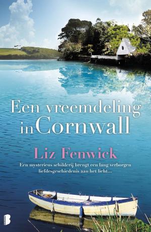 Book cover of Een vreemdeling in Cornwall