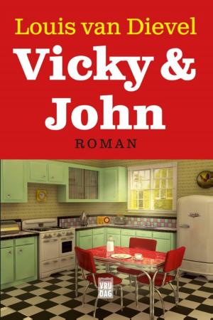 Cover of the book Vicky en John by Mies Meulders