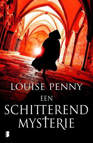 bigCover of the book Een schitterend mysterie by 