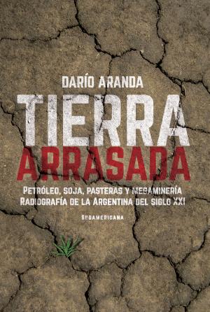 Cover of the book Tierra arrasada by Silvia Hopenhayn