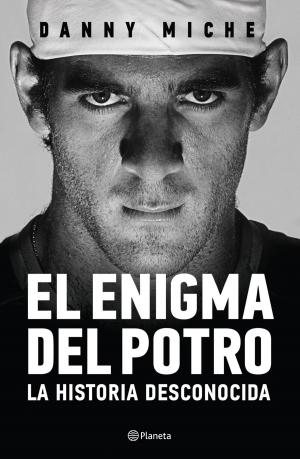 Cover of the book El enigma Del Potro by Fred Uhlman