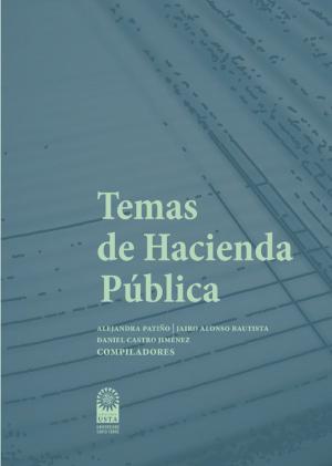 Cover of the book Temas de hacienda pública by Olivier Larizza