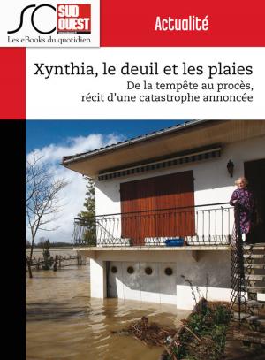 Cover of the book Xynthia, le deuil et les plaies by Jean-Pierre Dorian, Fabien Pont, Arnaud David, Nicolas Espitalier, Journal Sud Ouest