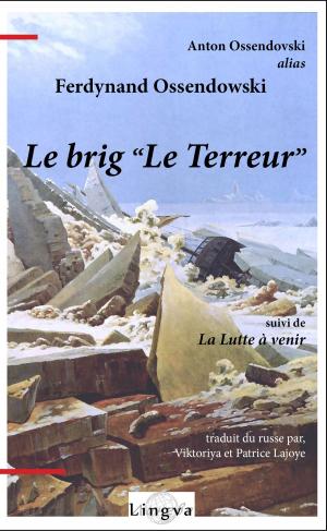 Cover of the book Le Brig "Le terreur" suivi de La Lutte à venir by Véra Krijanovskaia, Viktoriya Lajoye, Patrice Lajoye