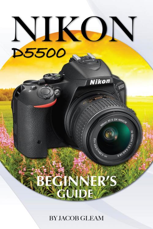 Cover of the book Nikon D5500: Beginner's Guide by Jacob Gleam, Conceptual Kings