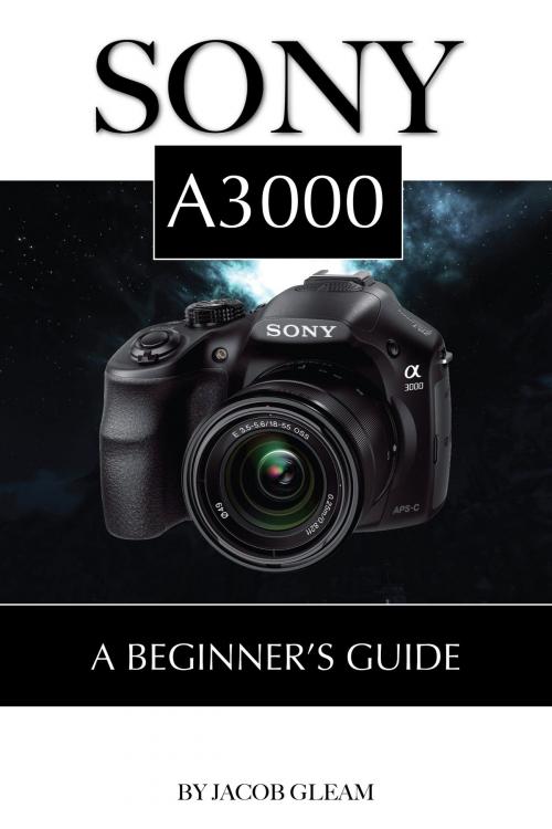 Cover of the book Sony A3000: Beginner’s Guide by Jacob Gleam, Conceptual Kings