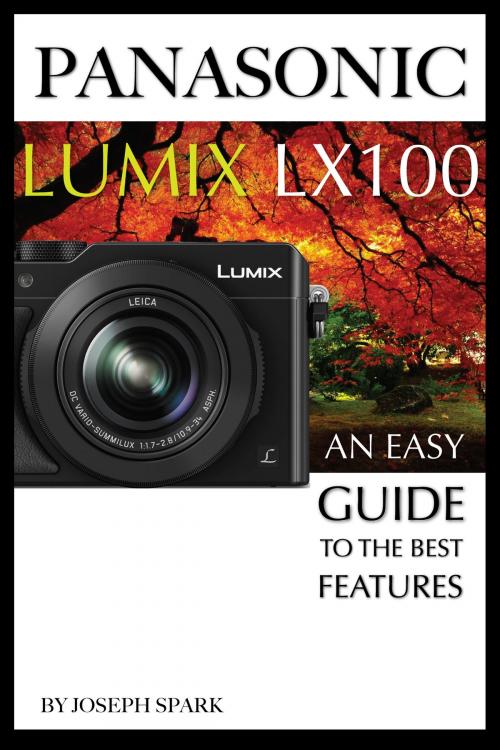 Cover of the book Panasonic Lumix LX100: An Easy Guide to the Best Features by Joseph Spark, Conceptual Kings