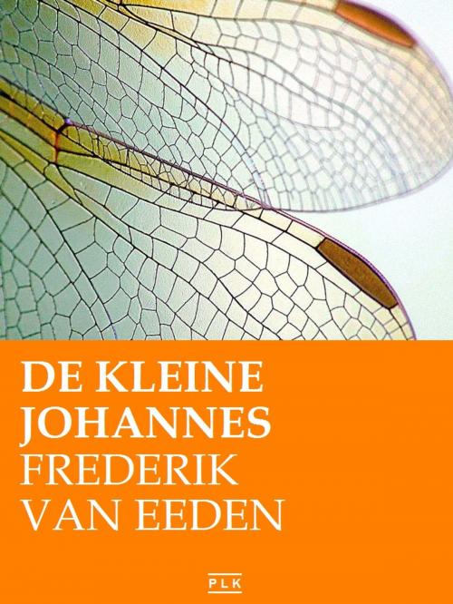 Cover of the book De kleine Johannes by Frederik van Eeden, PLK