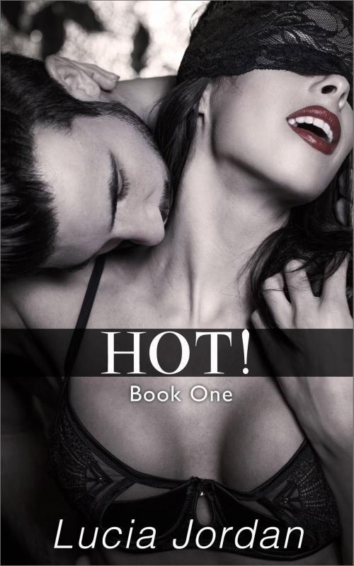 Cover of the book HOT! by Lucia Jordan, Vasko