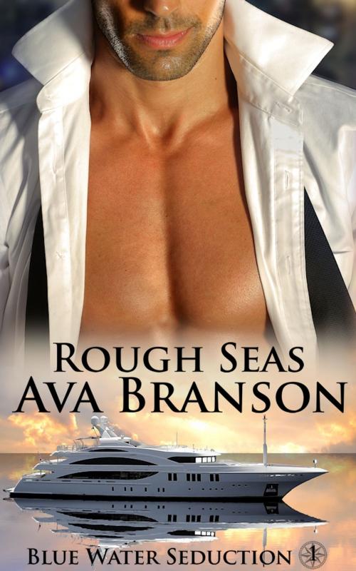 Cover of the book Rough Seas by Ava Branson, Ava Branson