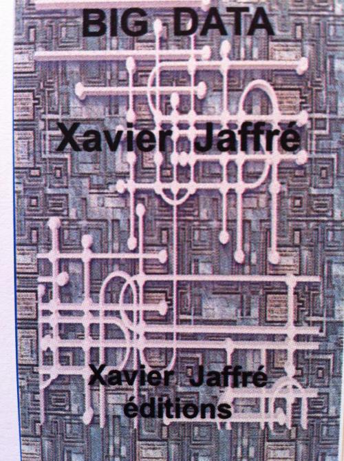 Cover of the book Big Data by xavier jaffré, Xavier Jaffré éditions