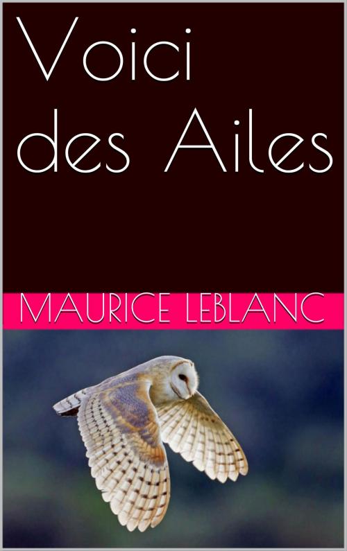 Cover of the book Voici des Ailes by maurice leblanc, NA