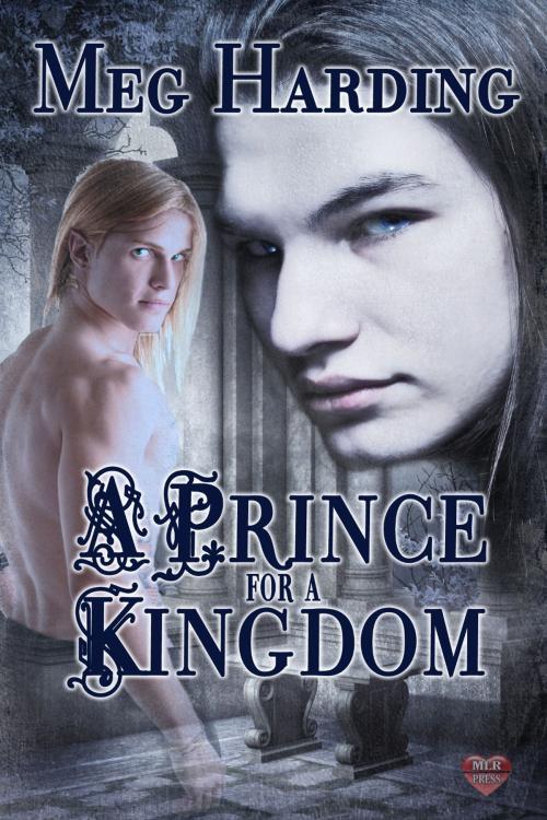 Cover of the book A Prince for a Kingdom by Meg Harding, MLR Press