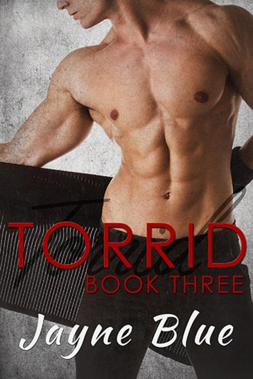 Cover of the book Torrid - Book Three by Jayne Blue, Jayne Blue