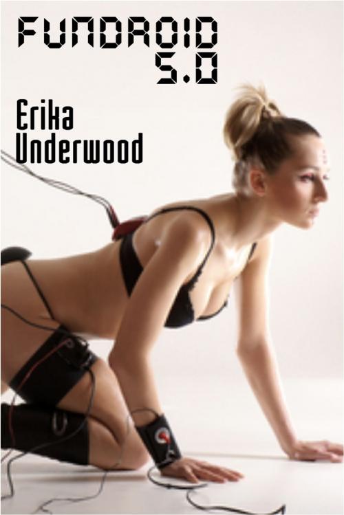 Cover of the book Fundroid 5.0 by Erika Underwood, Erika Underwood