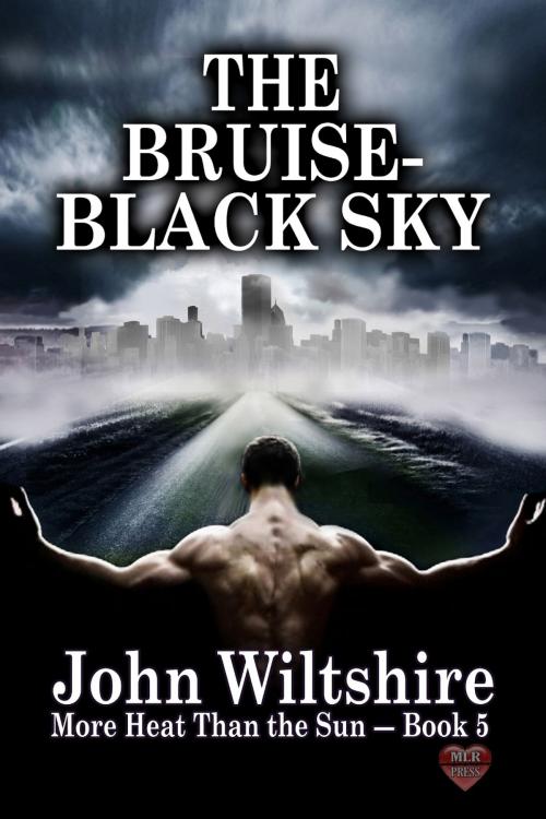 Cover of the book The Bruise-Black Sky by John Wiltshire, MLR Press