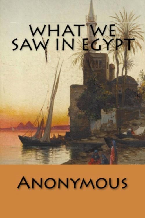 Cover of the book What We Saw in Egypt by Anonymous, True North