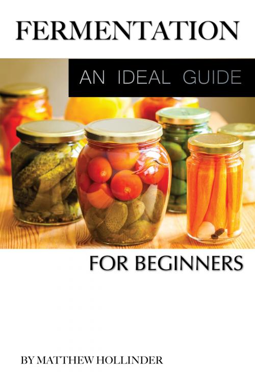 Cover of the book Fermentation: An Ideal Guide for Beginners by Matthew Hollinder, Conceptual Kings