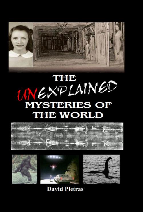 Cover of the book The Unexplained Mysteries of The World by David Pietras, David Pietras