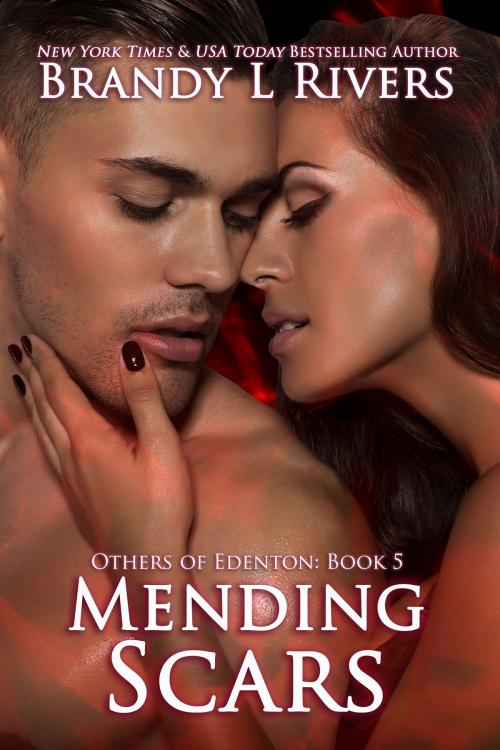Cover of the book Mending Scars by Brandy L Rivers, Brandy L Rivers