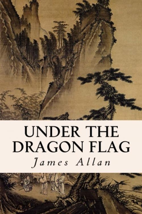 Cover of the book Under the Dragon Flag by James Allan, True North