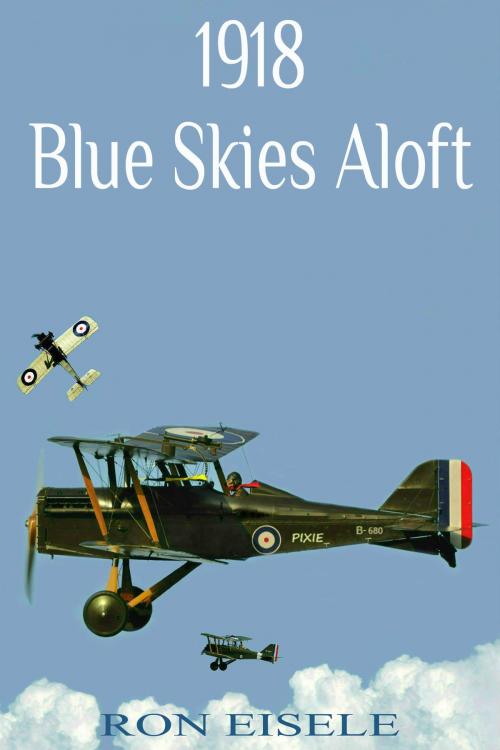 Cover of the book 1918 Blue Skies Aloft by Ron Eisele, Ron Eisele