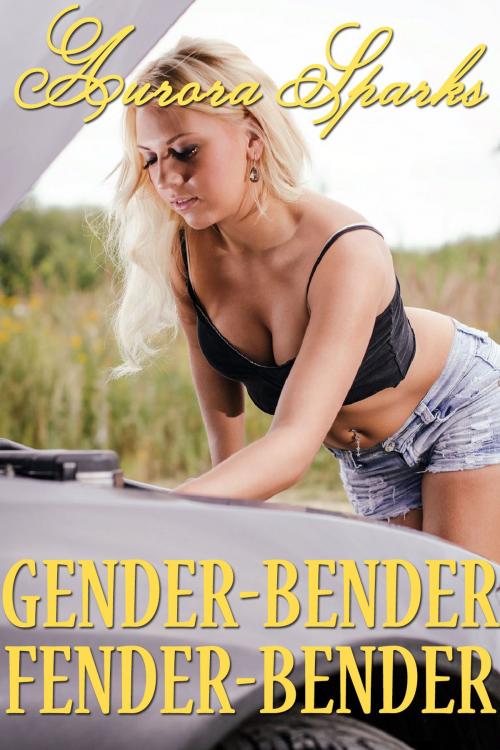 Cover of the book Gender-Bender Fender-Bender by Aurora Sparks, Aurora Sparks Erotica