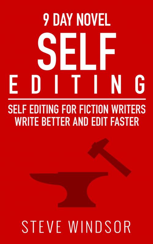 Cover of the book Nine Day Novel: Self-Editing by Steve Windsor, Author Basics
