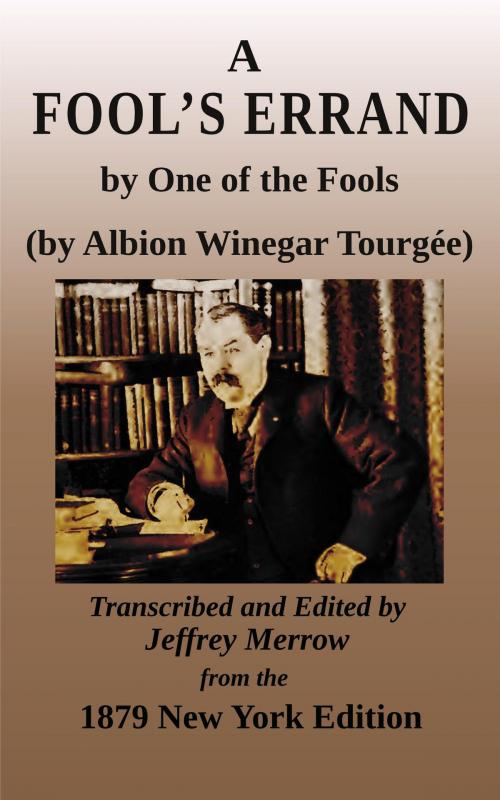 Cover of the book A Fool's Errand by Albion W. Tourgée, Tadalique and Company