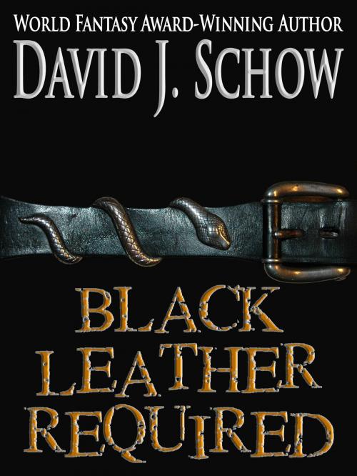 Cover of the book Black Leather Required by David J. Schow, Crossroad Press