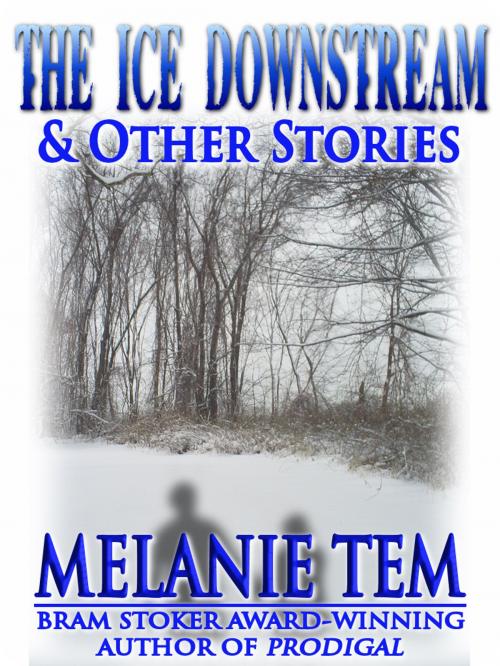 Cover of the book The Ice Downstream by Melanie Tem, Crossroad Press