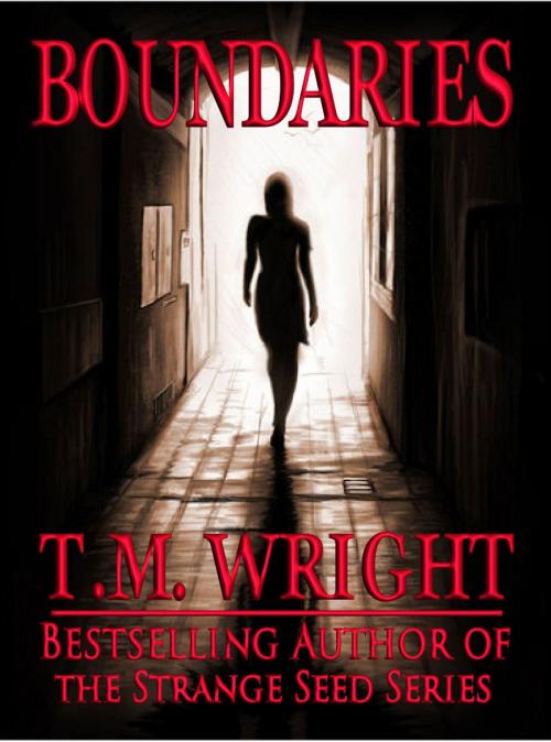 Cover of the book Boundaries by T.M. Wright, Crossroad Press
