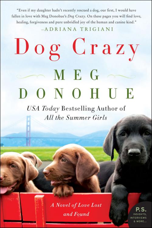 Cover of the book Dog Crazy by Meg Donohue, William Morrow Paperbacks