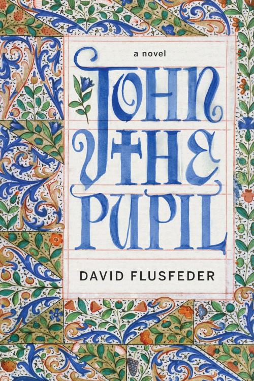 Cover of the book John the Pupil by David Flusfeder, Harper
