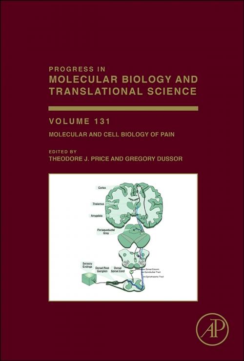 Cover of the book Molecular and Cell Biology of Pain by Theodore Price, Greg Dussor, Elsevier Science