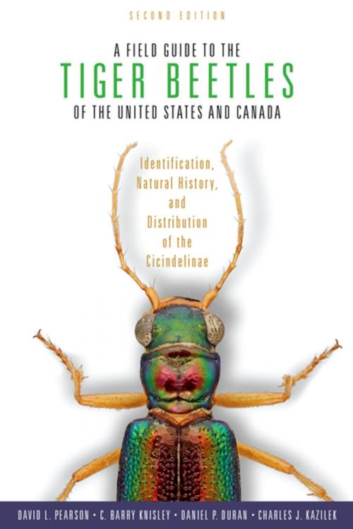 Cover of the book A Field Guide to the Tiger Beetles of the United States and Canada by David L. Pearson, C. Barry Knisley, Daniel P. Duran, Charles J. Kazilek, Oxford University Press