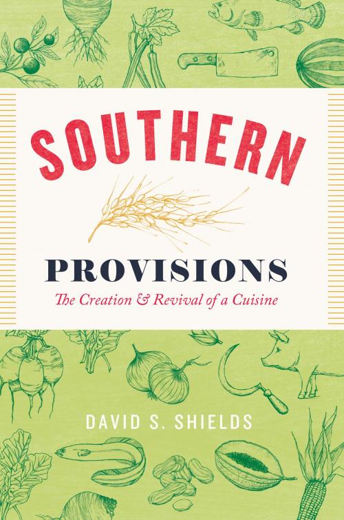 Cover of the book Southern Provisions by David S. Shields, University of Chicago Press